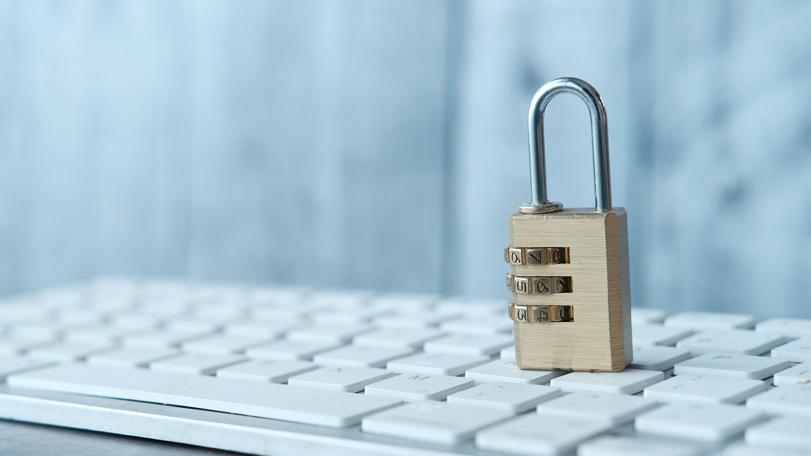 Why Data Security Matters in Property Management Bookkeeping